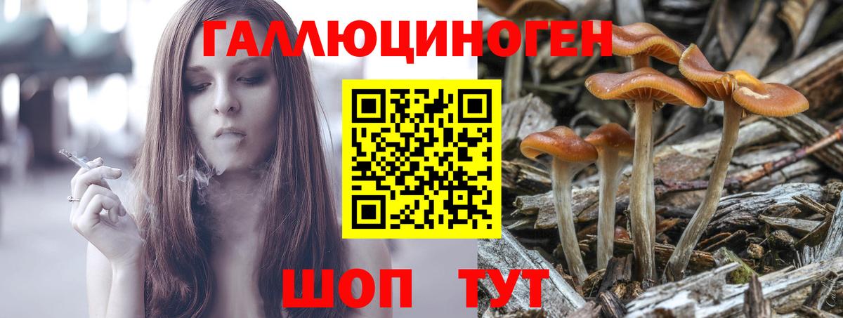 Псилоцибиновые грибы Psilocybine cubensis  Вход с VPN  Ачинск 